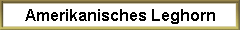 Amerikanisches Leghorn